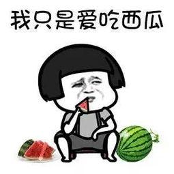 吃瓜娱乐教程,揭秘娱乐圈那些事儿