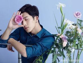 娱乐圈的吃瓜影帝多少字,揭秘明星背后的故事与争议