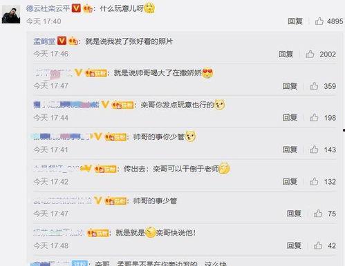 娱乐吃瓜酱语音评论